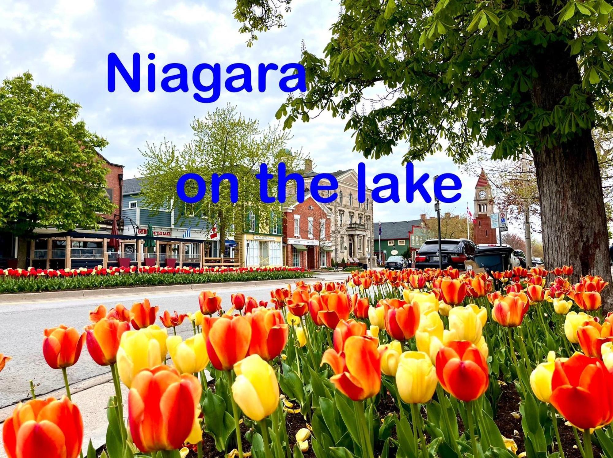 شقة Barkerhouse 2# Unit-Heart Of Oldtown Niagara-on-the-Lake المظهر الخارجي الصورة